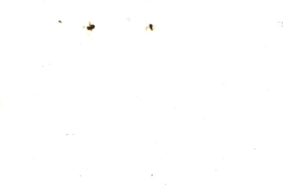 Image 115